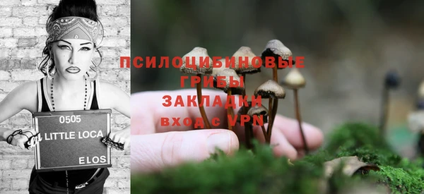 дмт Аркадак