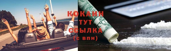 дмт Аркадак