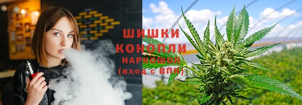 дмт Аркадак